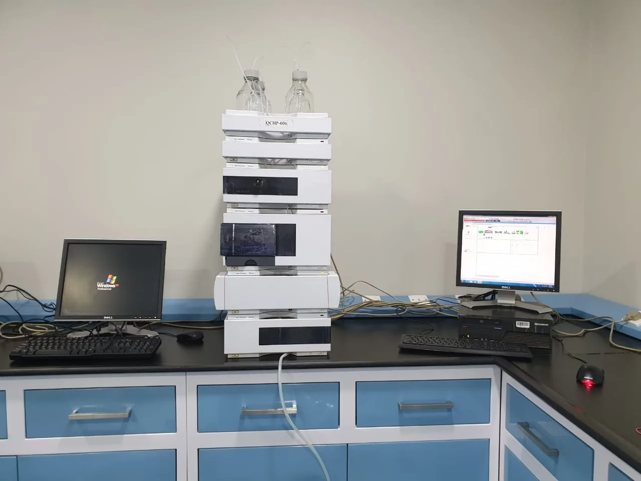 Sundar Plant Images 1 (2)