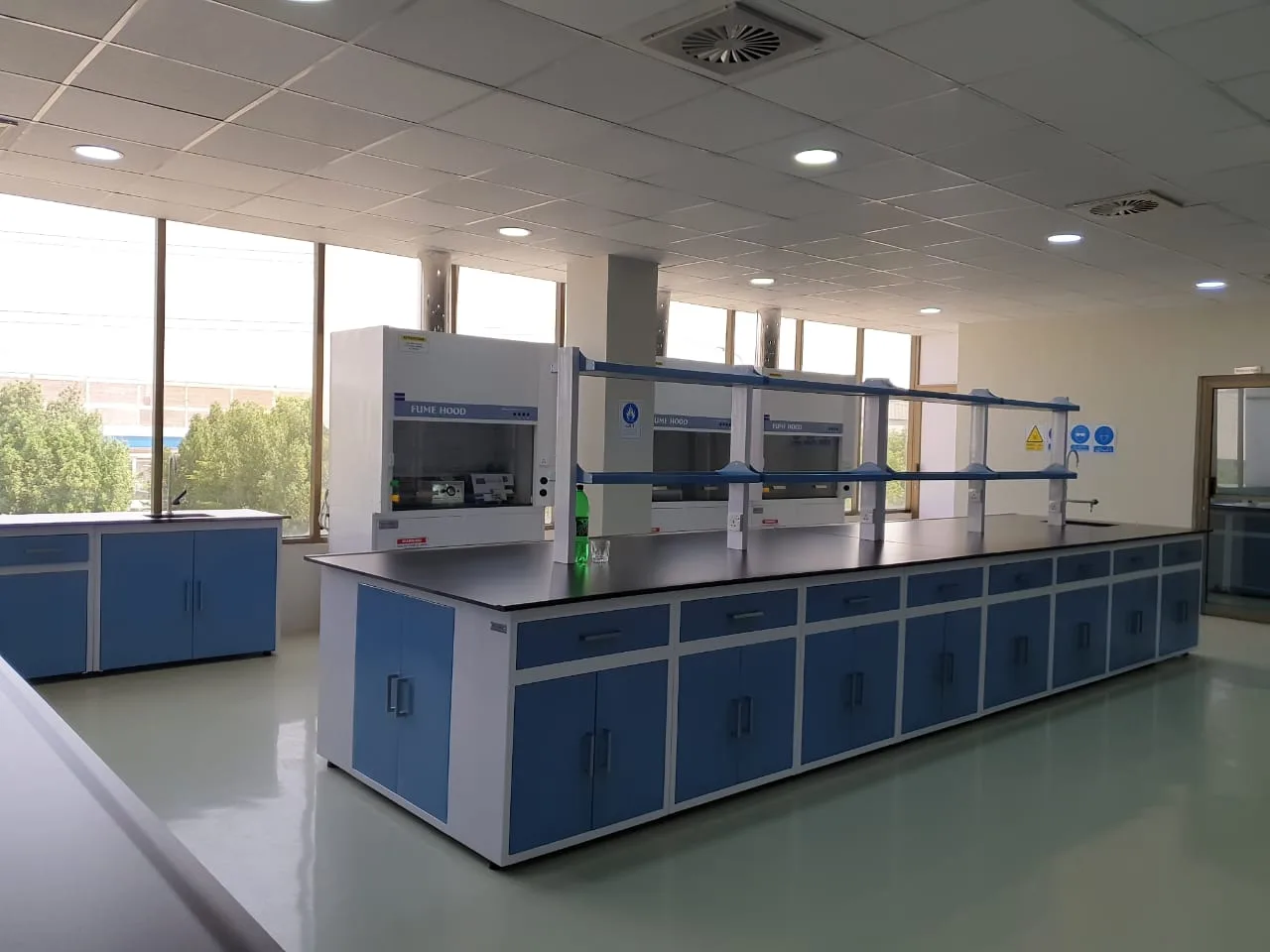 Sundar Plant Images 10