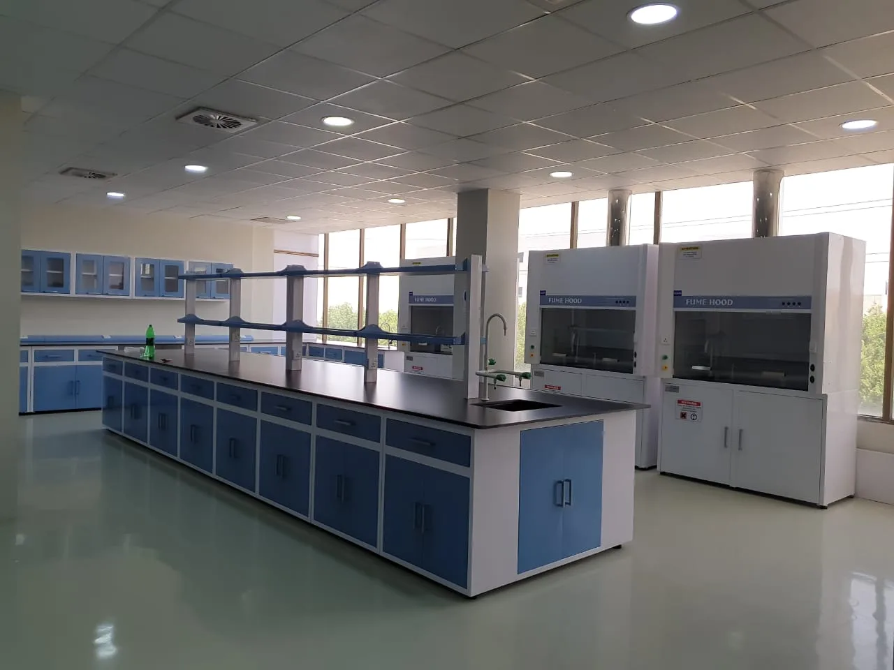 Sundar Plant Images 15