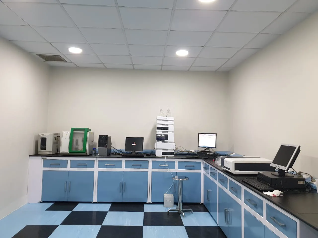 Sundar Plant Images 23